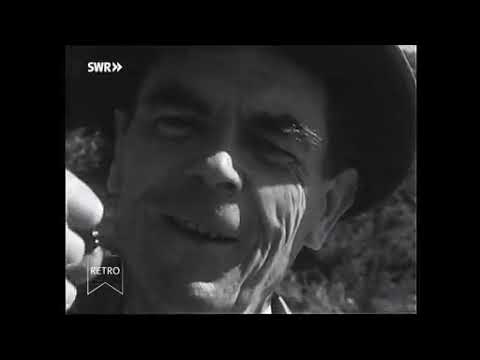 Spaziergang des Rheinischen Hausfreunds (1957)