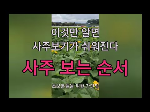 사주 쉽게 보는 순서