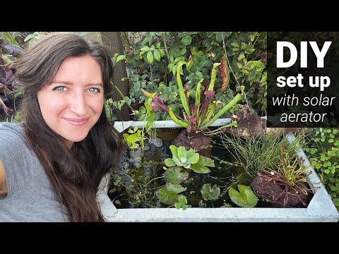 Creating A Water Tank Pond with Carnivorous Rock Gardens / Homegrown Garden