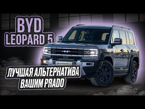 Leopard 5. Идеален для РФ.