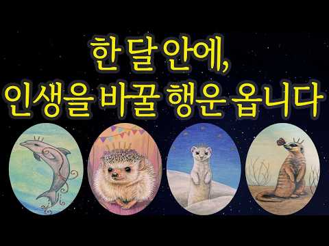 [타로운세] 🚨한달 안에 터진다!💸 당신에게 몰려올 '특별한 행운'의 정체는?✨ 놓치면 후회합니다 #대운타로