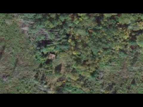 I Spotted This Cabin DEEP in the Woods on Google Earth, So I Set Out to Find it