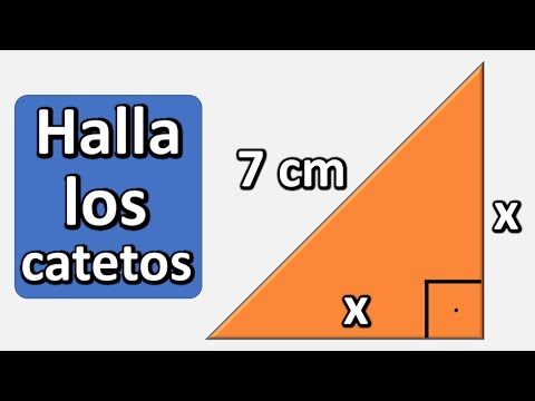 CÓMO CALCULAR LOS CATETOS DE UN TRIÁNGULO RECTÁNGULO SABIENDO LA HIPOTENUSA