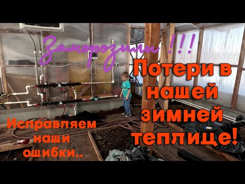 Деревенские заботы тепличников. Дела житейские. Без потерь не обошлось.