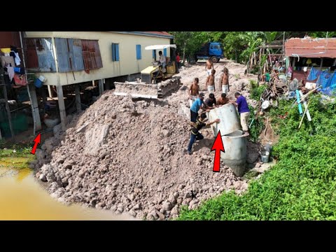 Amazing Quickly-Working New Project!! FILL Lowland by 5-T Dump Truck Overloading, Bulldozer Pushing