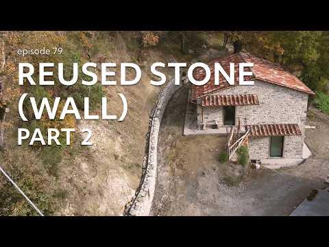 #79 We plant OLIVE ORCHARD. Another STONE WALL made of REUSED stone, part 2. Renovation in Tuscany.