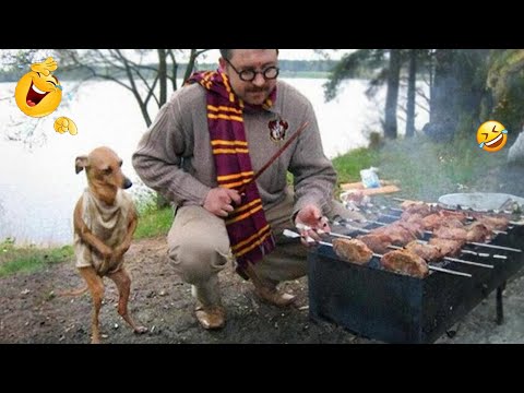 FUNNIEST DOGS On The Internet 😂🐶 I DARE You NOT to LAUGH #32