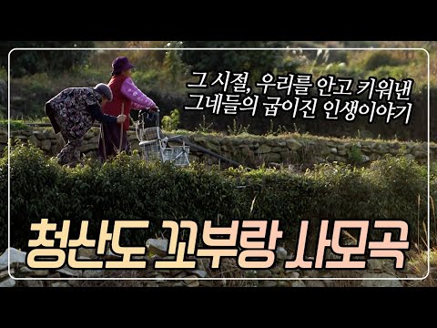 [교양 PICK] 할머니의 허리는 자식들에게 바친 희생의 봉우리 입니다 '청산도 꼬부랑 사모곡' [다큐 공감] KBS 240131 방송