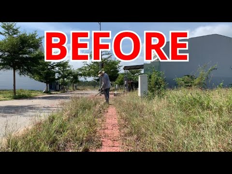 No one cares about the OVERGROWN SIDEWALK, so I VOLUNTEER to clean it up for 5 hours.