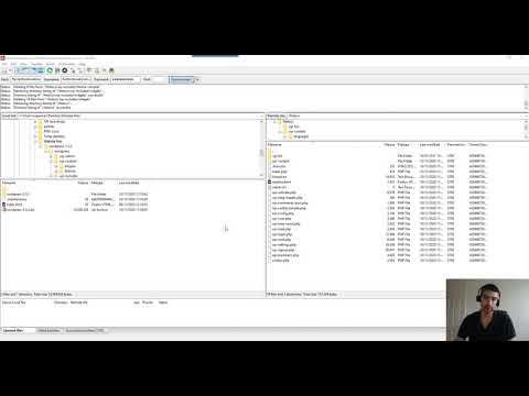 Manually updating WordPress