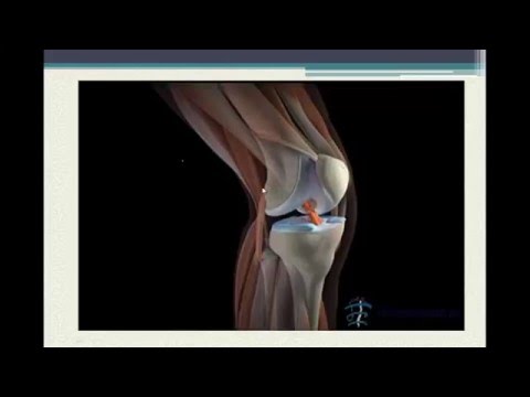 Н.В.Терещенко. УЗД при травмах и заболеваниях опорно-двигательного аппарата