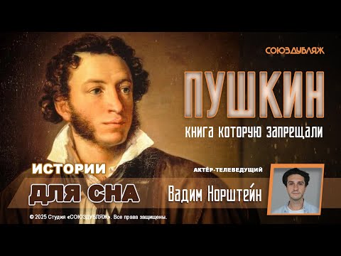 Книга, которую запрещали читать вслух в гимназиях | Пушкин глазами критика XIX века