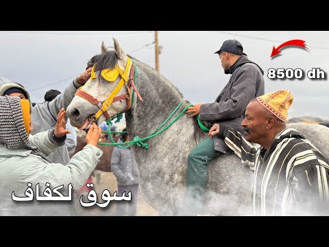 بعد غياب طويل سوق الكفاف اليوم كاين المليح وبادريس عطا في عود 6ونص وعندو همزة 😍