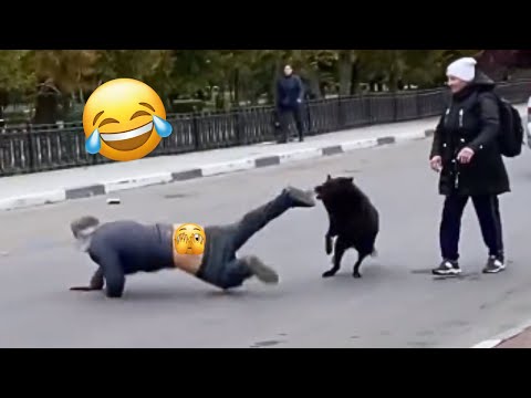 Funniest Fail Videos & Viral Memes Of The Year 😂🤣 Try Not To Laugh Challenge #15