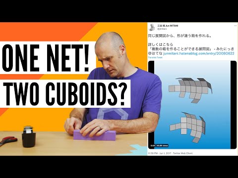 Can the Same Net Fold into Two Shapes?