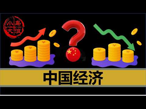 【小岛浪吹】2025官方经济数据披露完毕，中国的经济到底如何，未来又将何去何从