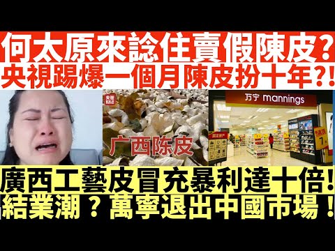 何太原來諗住賣假陳皮?|央視踢爆一個月陳皮扮十年?!|廣西工藝皮冒充暴利達十倍!|結業潮?萬寧退出中國市場!|井仔點睇 #何伯何太上庭 #何太上庭 #何太精神病發 #陳官質疑河馬 #何太開庭先嚟病