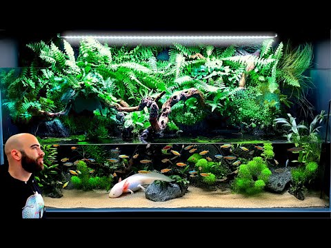 Making A 4ft Axolotl Paludarium From Start To Finish (Minisode)