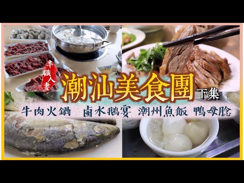 跟團食好啲! 潮州牛肉火鍋 鹵水鵝宴 潮州打冷菜 胡榮泉鴨母腍| 永安潮汕美食團| 下集 半職人妻