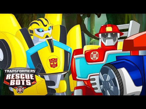 The Rescue Bots Meet Bumblebee! | Transformers: Rescue Bots | Cartoons for Kids | Transformers TV