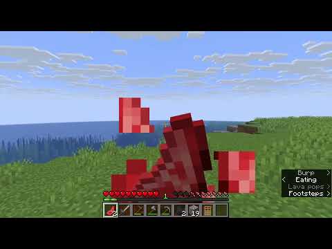 Making a nether portal and found a shipwreck (Episode 3)