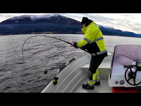 КРУПНЯК НА ГЛУБИНЕ 100+ Рыбалка в Норвегии с лодки в феврале