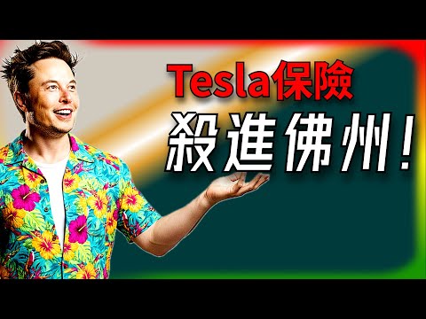 [Tesla Daily News] Tesla Insurance Finally Enters Florida! A Three-Year Wait – How Ruthless Is Mu...