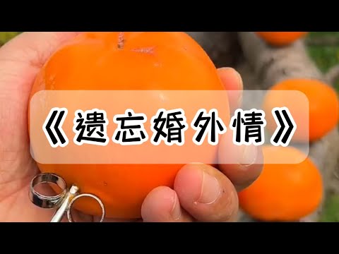 老公喜欢的女主播找到我，说她喜欢我老公，让我可怜可怜她。我迅速和老公分割财产离了婚，并一手促成了他们领证结婚#小说 #故事