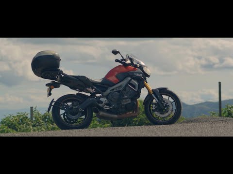 Could this be TOO MUCH BIKE for you? Its all about Mr. Weyden, the  Master of Torque 🚀 [4k]