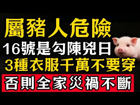 生肖豬必看！12月16號，農曆十月廿七是「勾陳黑道兇日」，這3種衣服千萬不要穿，否則恐招黴運，全家災禍不斷，神仙都難救！#張天師道法#屬相運勢#生肖#家運#生肖運勢的那些事#先知#風水變化#提升運勢