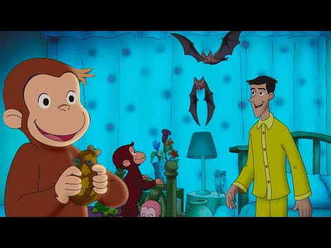 George Learns About Bats!  🐵 Full Episodes 🐵 Curious George | Animal Friends