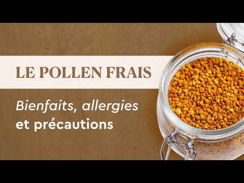 Pollen Frais : Le guide complet pour booster ton immunité naturellement