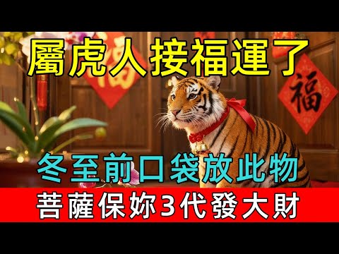 生肖虎注意了，冬至前口袋放一物，橫財如雨擋不住，霉運散盡好運來，菩薩保妳3代發大財！#生肖 #運勢 #命理 #屬相 #風水 #財運 #佛陀 #佛學 #佛法 #佛教 #修行 #智慧 #因果 #佛家