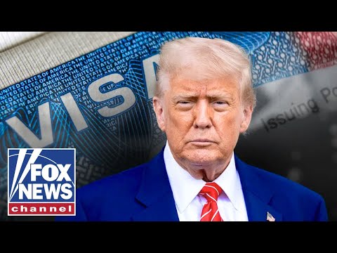 NO honest conversation has been had about this: Stephen Miller