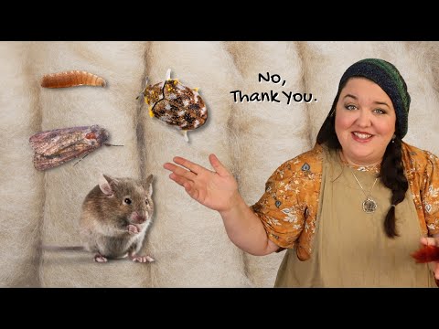 How I Prevent Wool Moths From Getting In My Spinning Fibers And Hand Knits