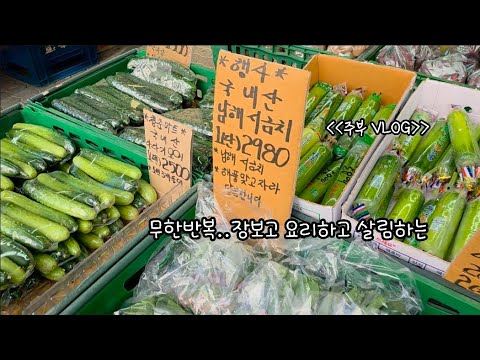 일상의 소중함과 현명하게 살아가는 삶의 루틴 / 따뜻한 집밥과 일상 브이로그