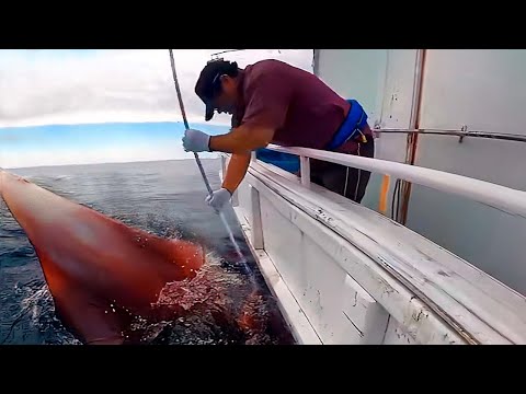 НЕВЕРОЯТНЫЕ СЛУЧАИ НА РЫБАЛКЕ, СНЯТЫЕ НА КАМЕРУ