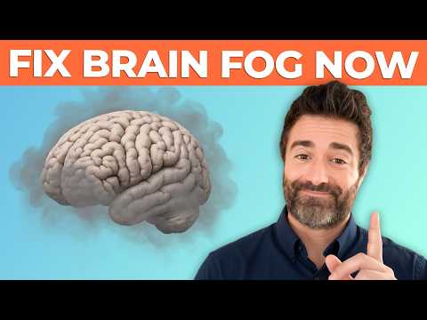 Top 6 Treatments To Get Rid Of Brain Fog & Boost Your Cognition