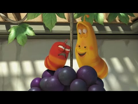 포도! | 라바 | 어린이를 위한 만화 | 와일드브레인 코리안