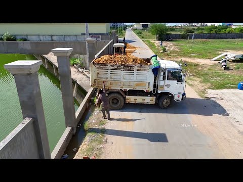 Starting New Landfill Project Using 5Ton Dump truck & Dozer KOMATSU D3P Pushing Soil into Low Land 