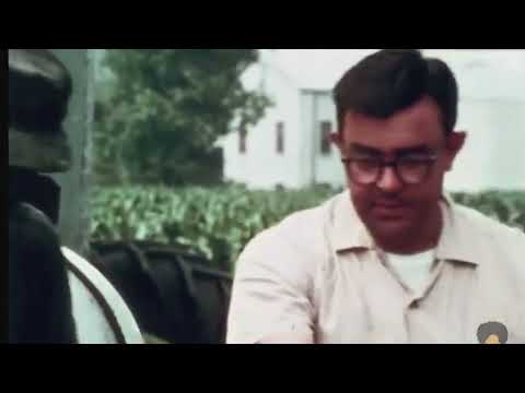 Mississippi Cotton Farmer's View Of The Black People In His Community 1968