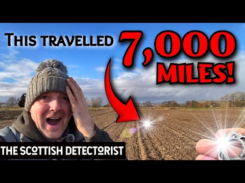 Never in My Wildest Dreams Did I Expect to Find THIS Here!