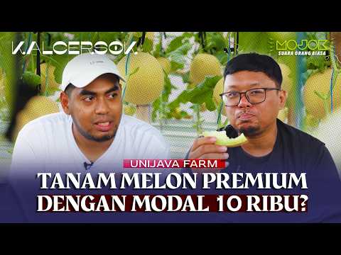 PETANI OTODIDAK BERBAGI TEKNIK CETAK MELON PREMIUM YANG EFEKTIF! | KALCERSOK
