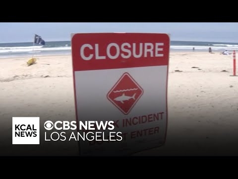 Man recounts moments he helped save shark attack victim in Del Mar