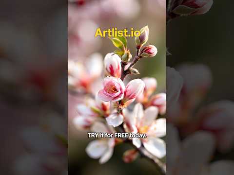 Never miss a B-Roll again!