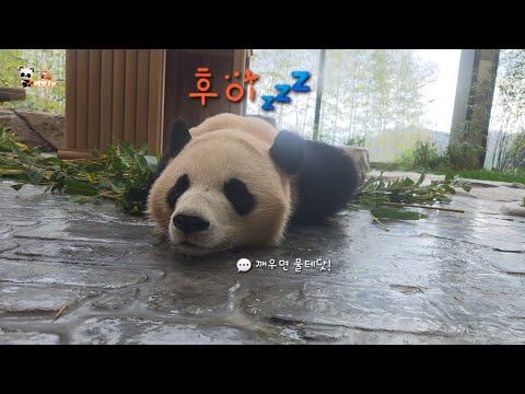 ๐20251130 ๐ฆ์ธํ+ํ์ ์ค์ ์์๐ฆ๐๊ท์ฝ๊ฒ ์ผ๊ตด๋ณด์ฌ์ค ํ์ด, ๊ฐ์ํ๋ ๋ฌ๋ฐ์ค๐๐ผ๋ฃจ์ด๋ฐ์ค๐ผํ์ด๋ฐ์ค๐ผ๋ฌ๋ฐ์ค๐ผ์์ด๋ฐ์ค๐ฆ๋ ๋ชฌ๐ฆ๐