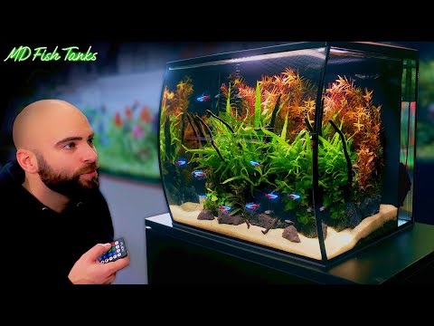 Fluval Flex 2.0 Planted Aquarium: The Results SHOCKED ME!