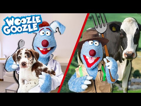 Wer arbeitet alles mit Tieren? l WOOZLE GOOZLE