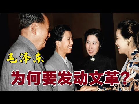 毛泽东为何要发动文革？  #文革    (中文字幕)