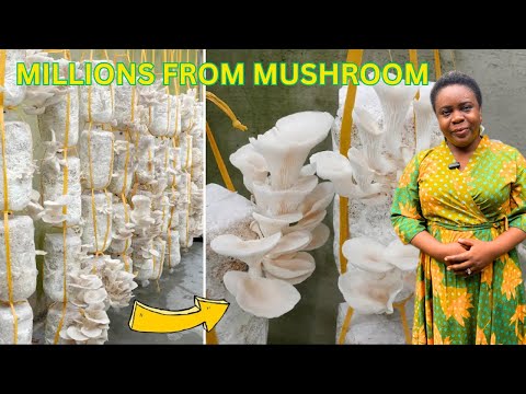 How This Nigerian Lady Is Turning Mushroom Farming To A Sustainable Business